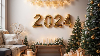 С наступающими 2024 годом и Рождеством!
