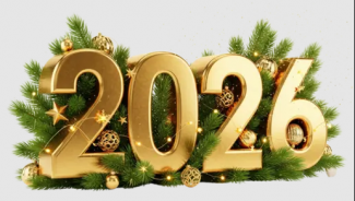 С наступающими 2026 годом и Рождеством!